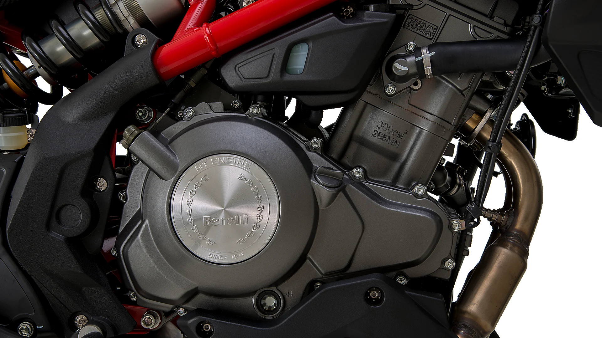 BENELLI 302 S
