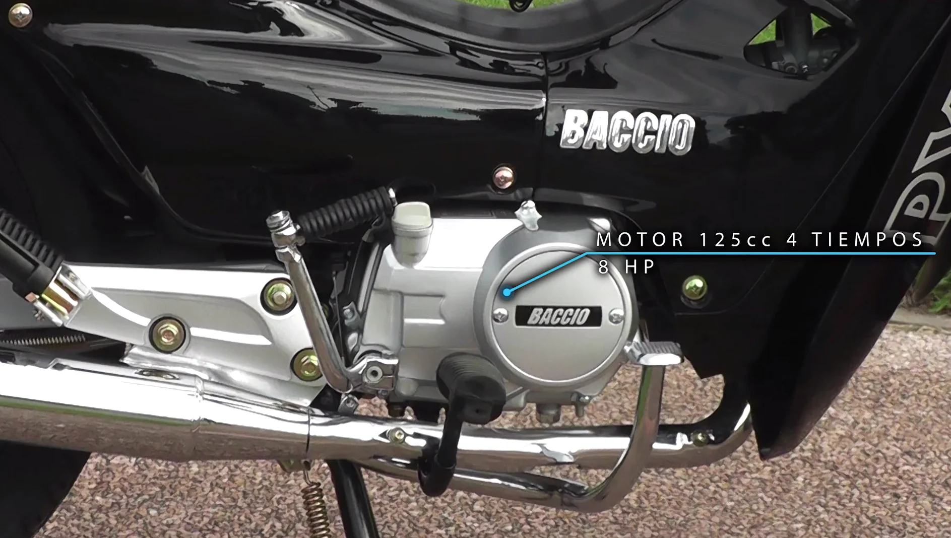 Baccio PX125 F