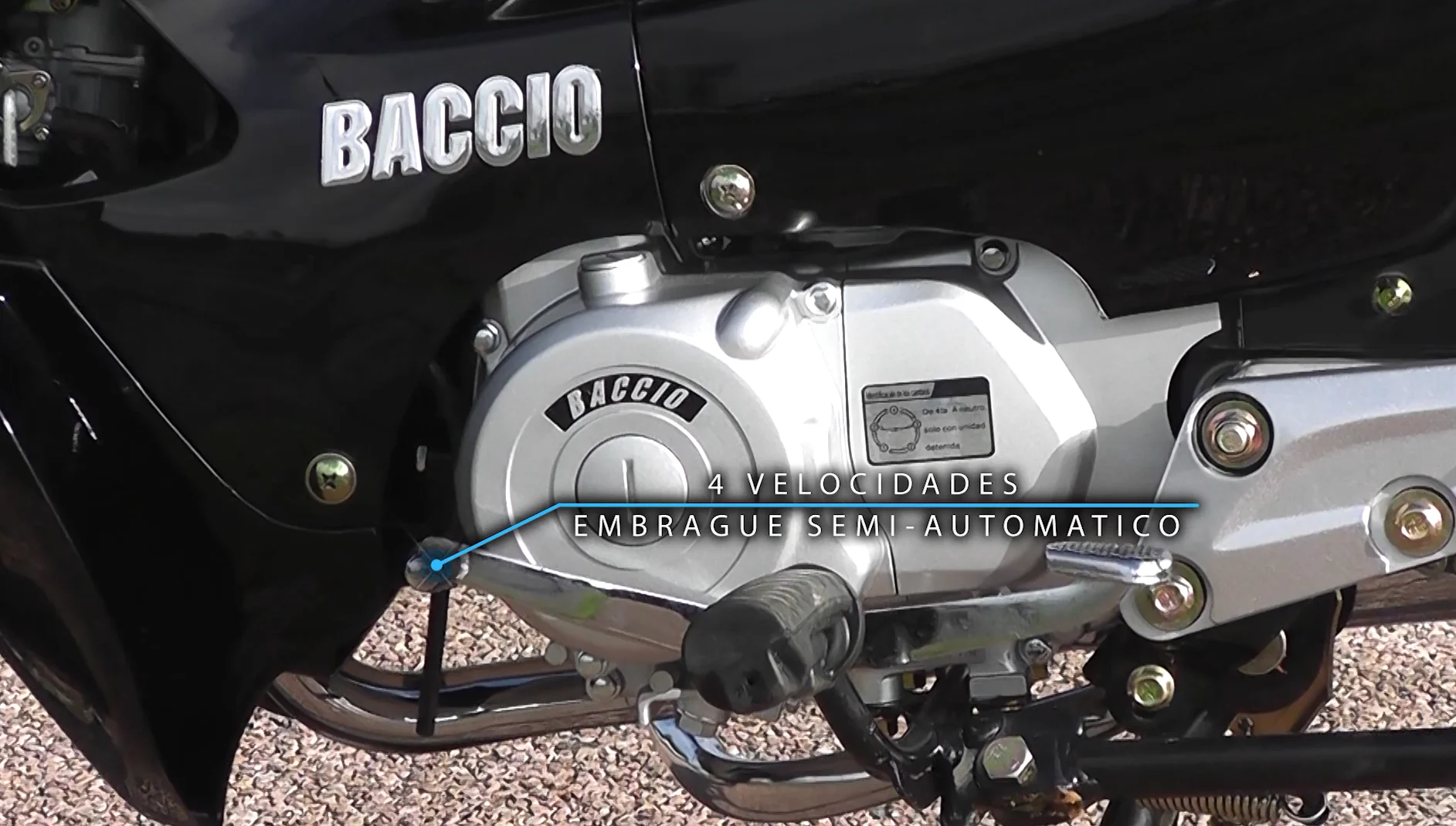 Baccio PX125 F