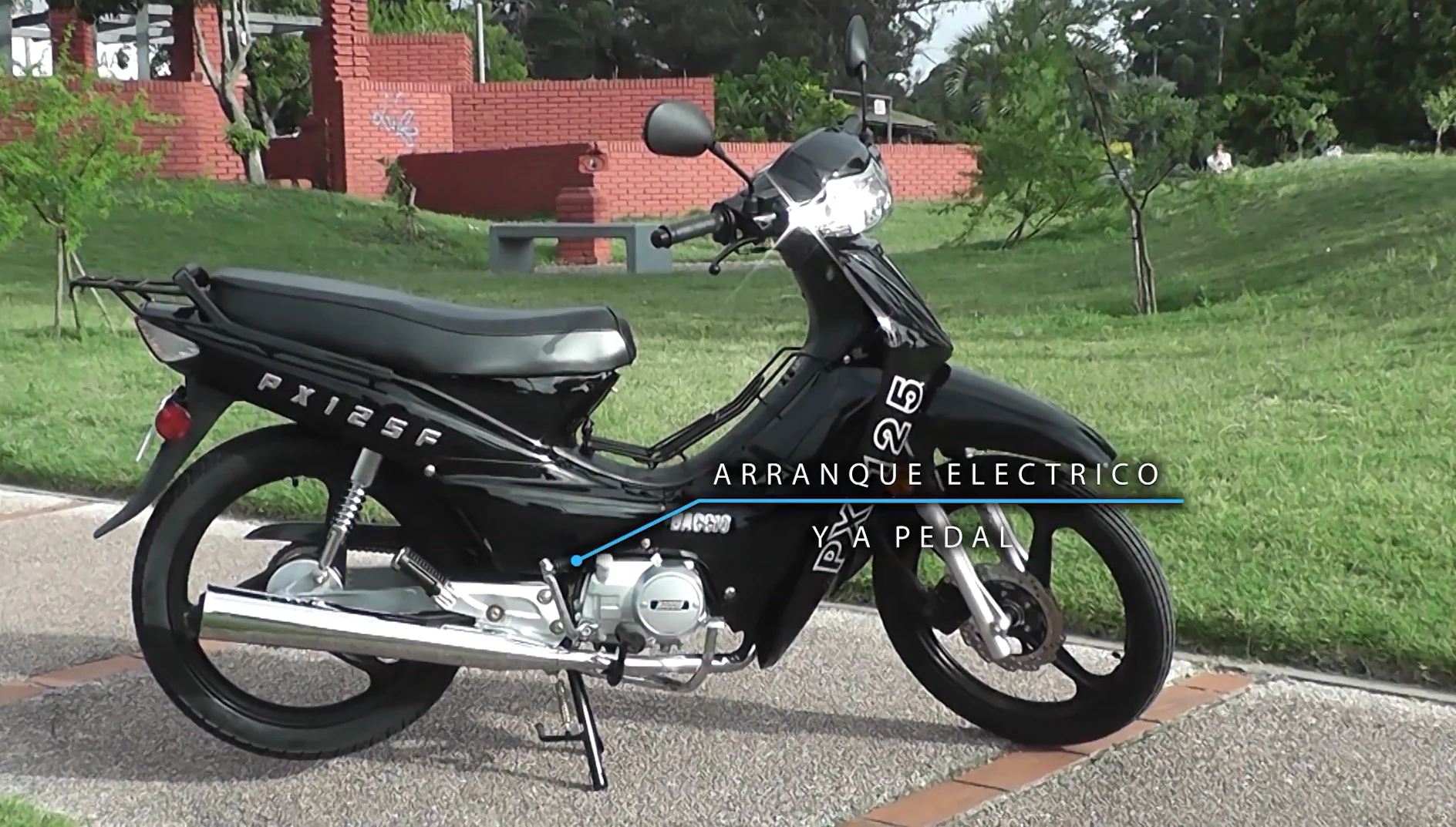 Baccio PX125 F