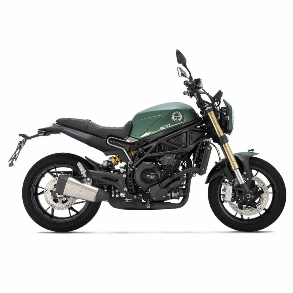 BENELLI LEONCINO 800