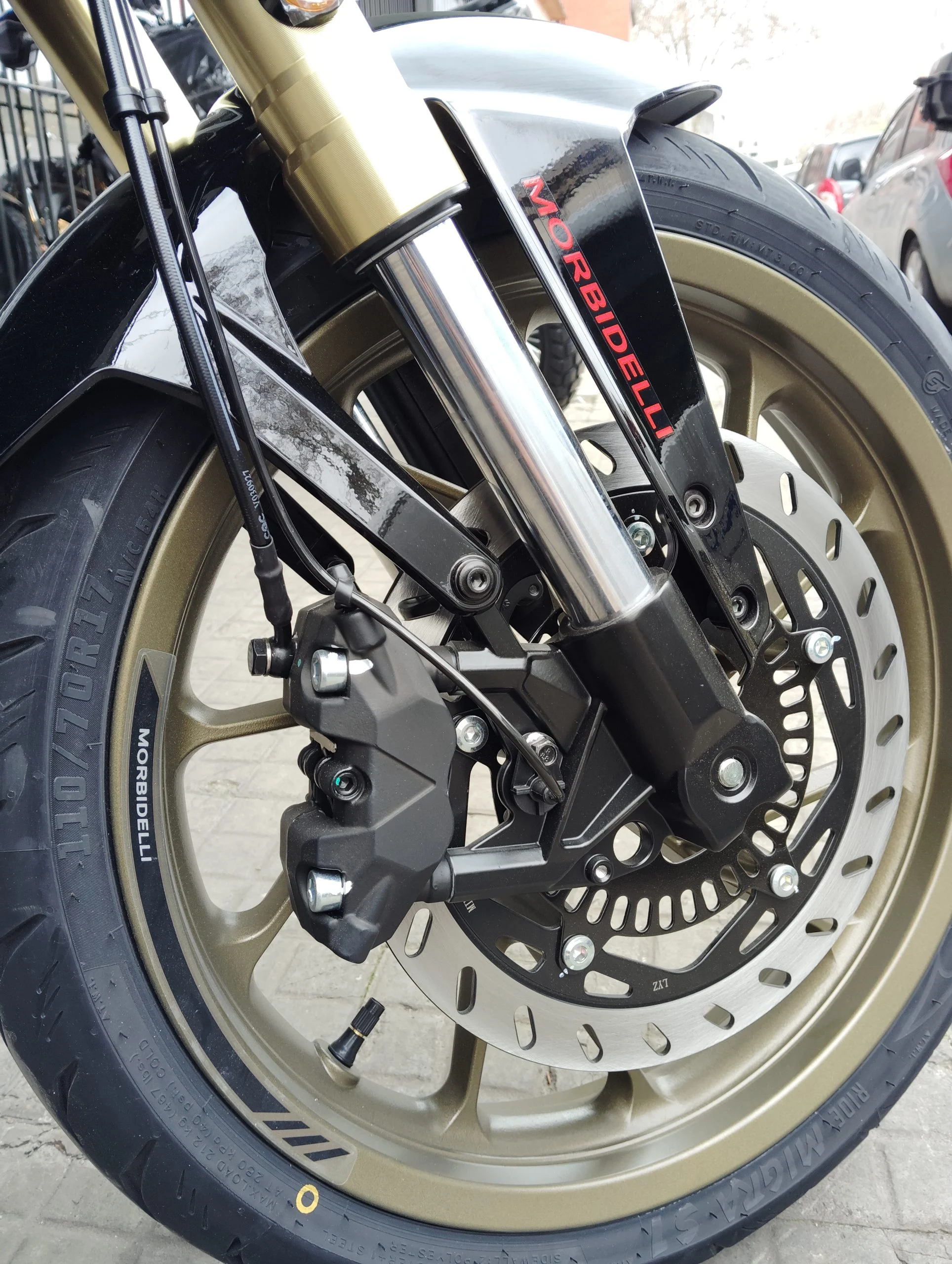 MORBIDELLI N300
