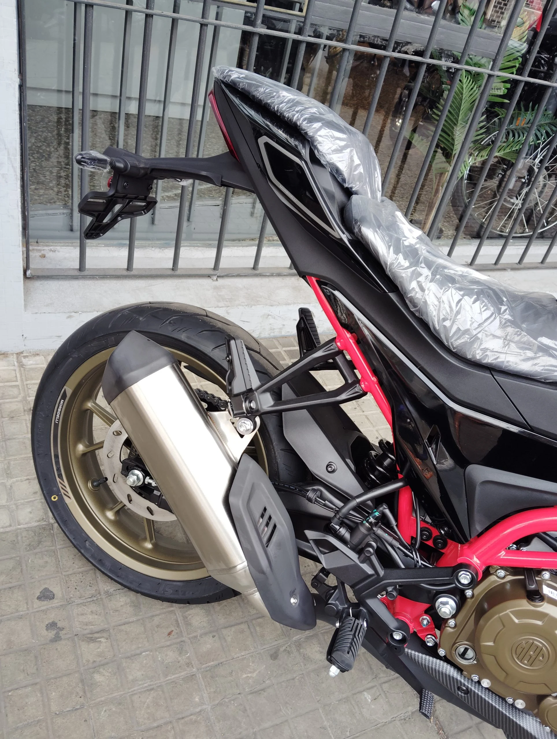 MORBIDELLI N300