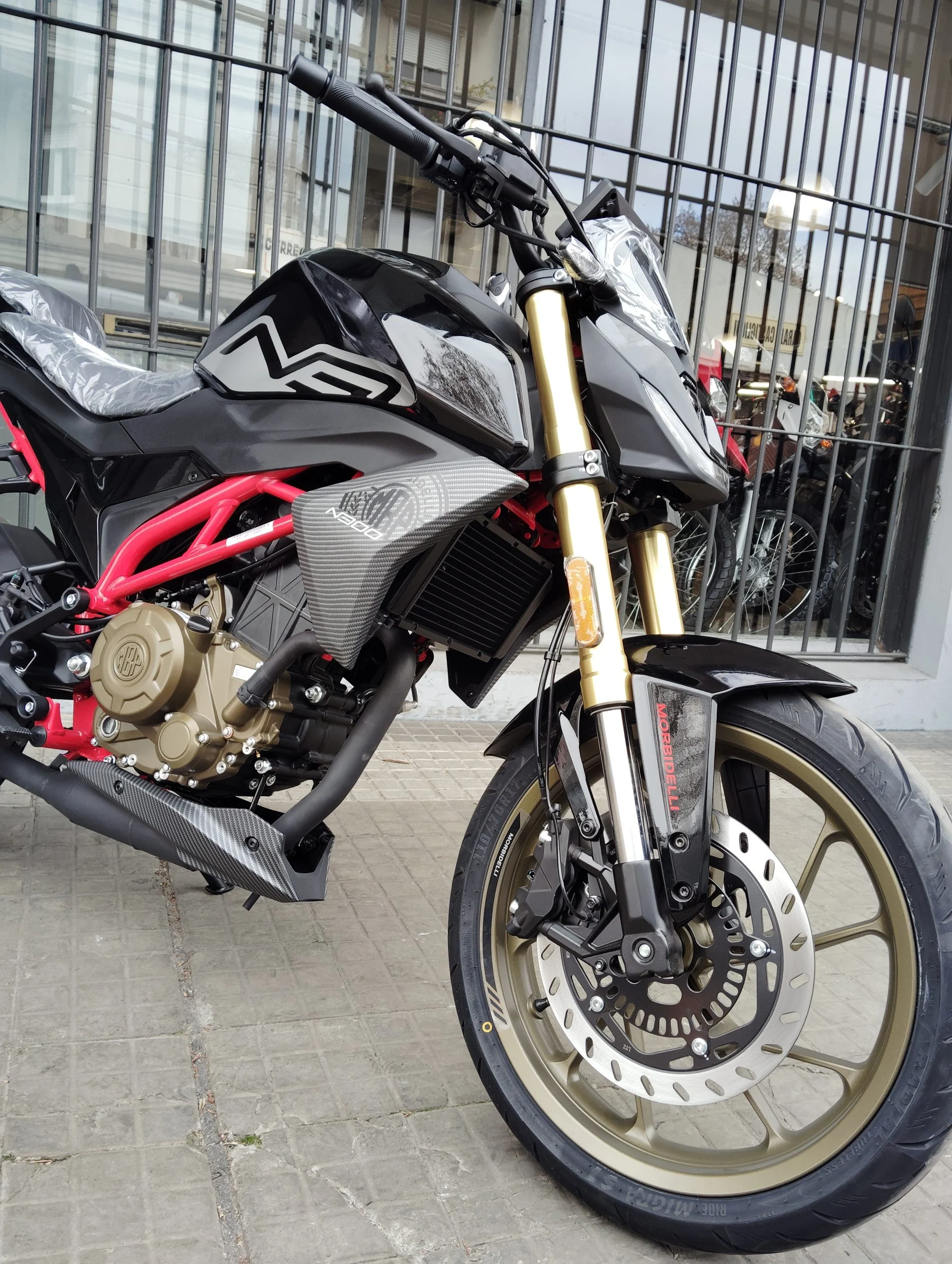 MORBIDELLI N300