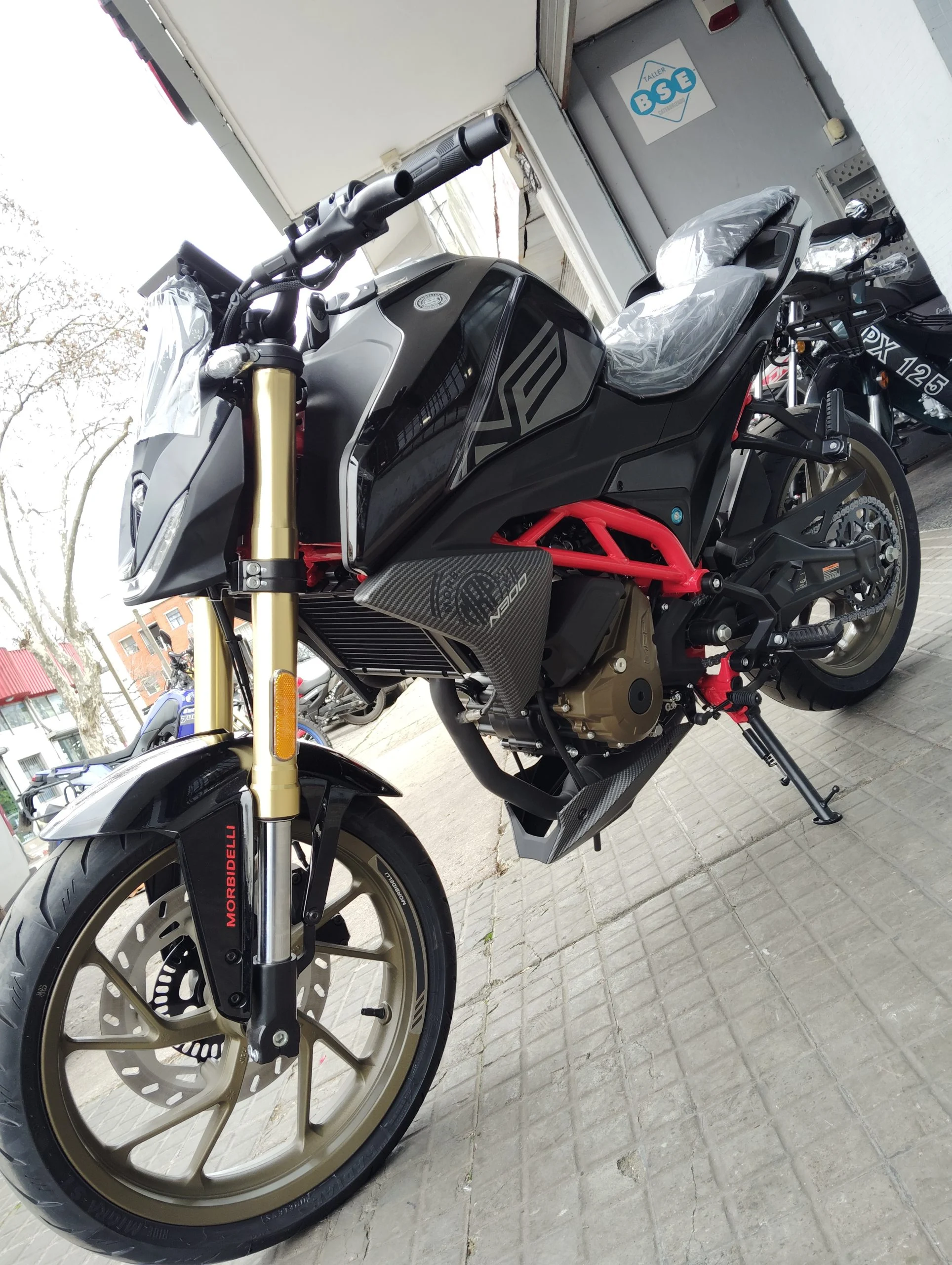 MORBIDELLI N300