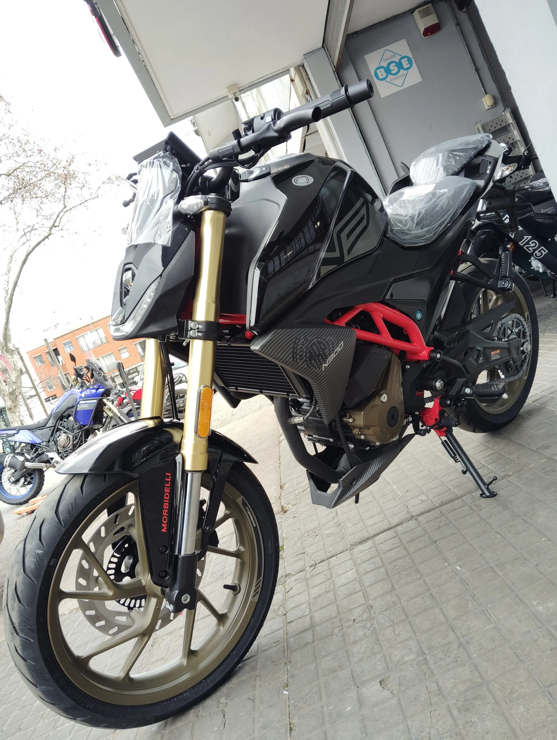MORBIDELLI N300