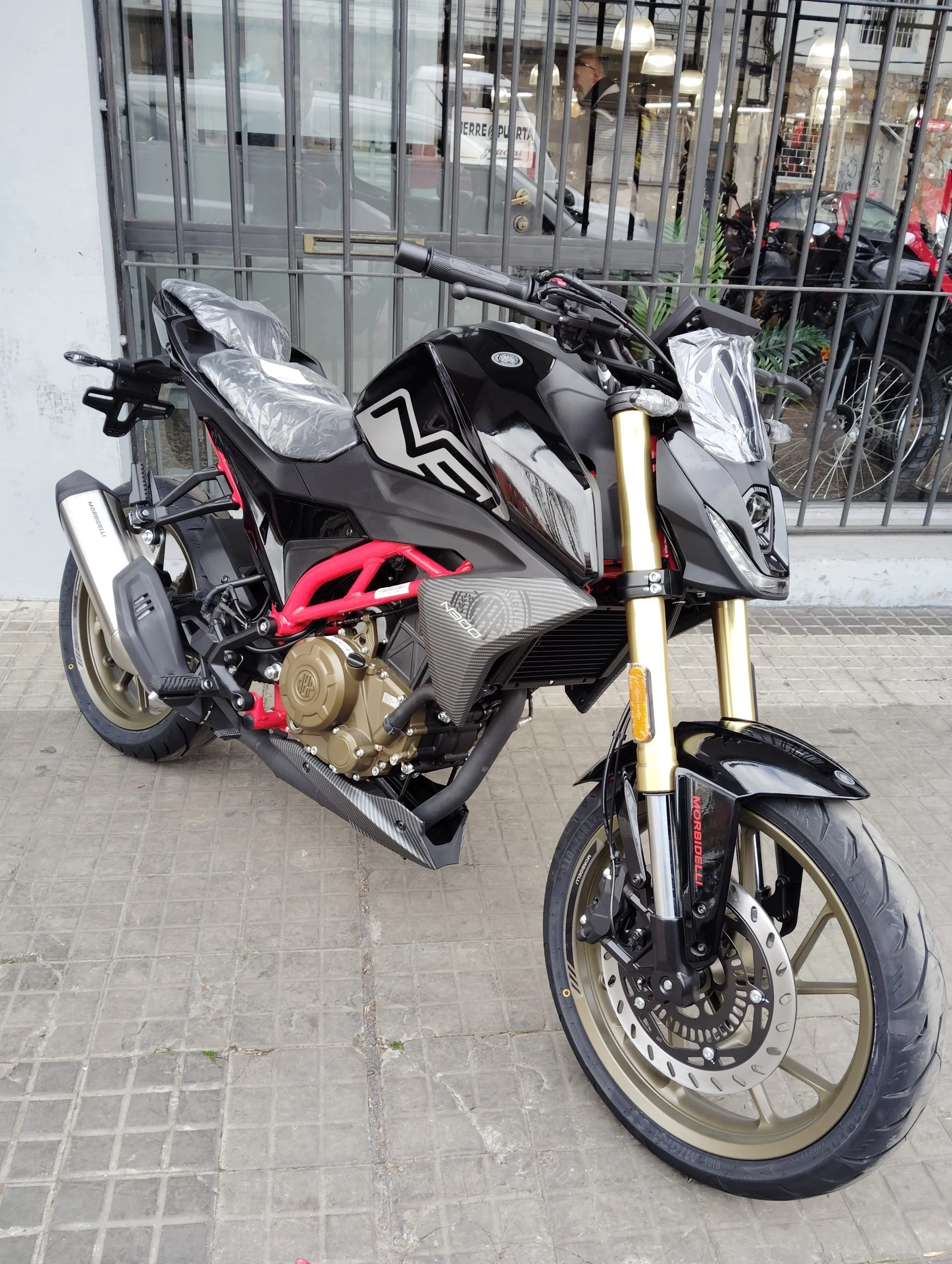 MORBIDELLI N300