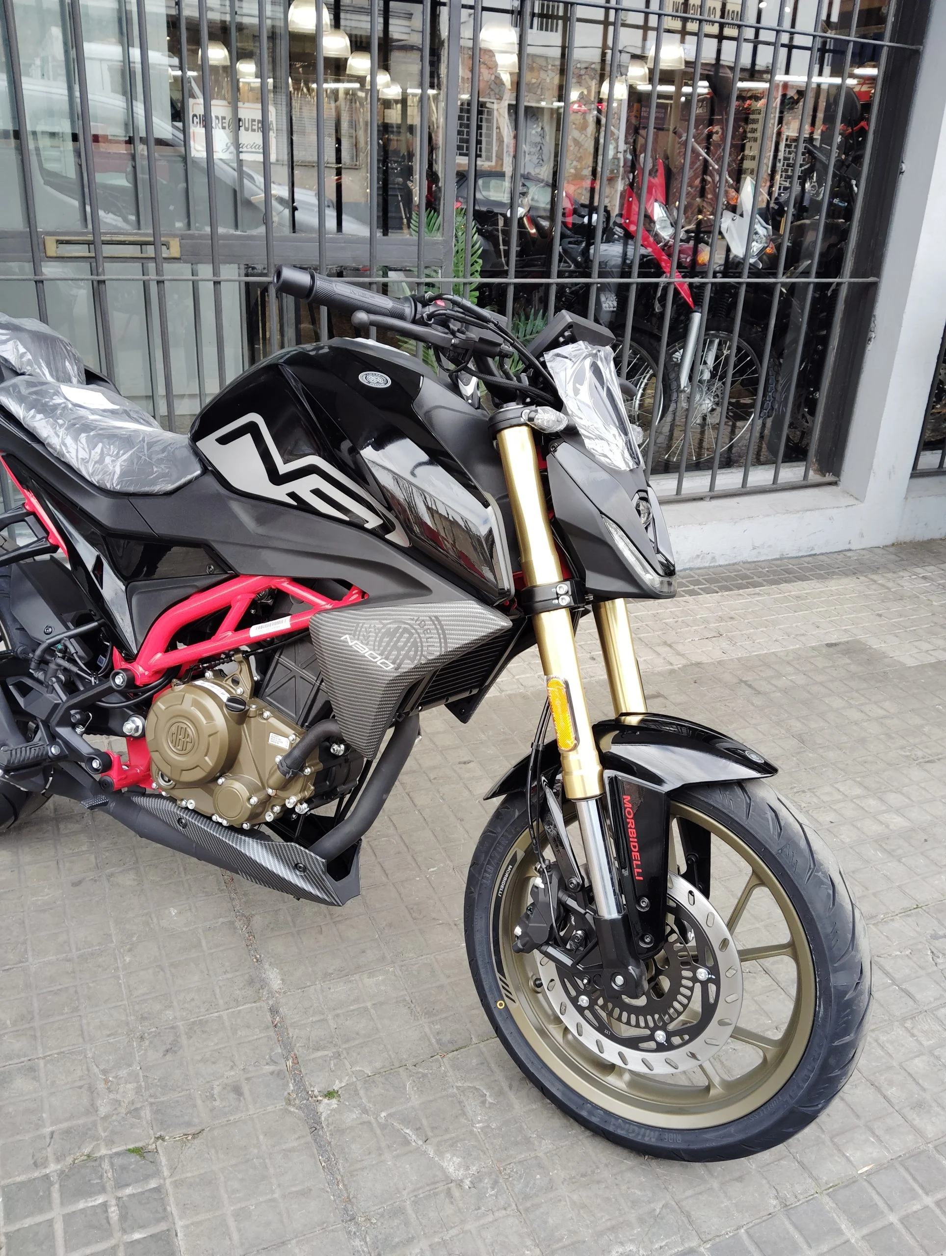 MORBIDELLI N300