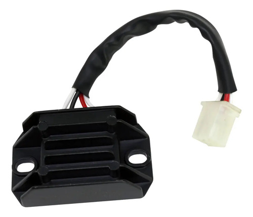 Regulador De Voltaje Cs110 Rkg Arsen
